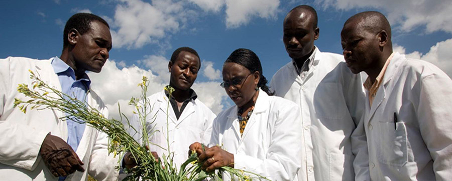 Should we hold low-income countries accountable for leaving no-one behind Should we hold low-income countries accountable for leaving no-one behind