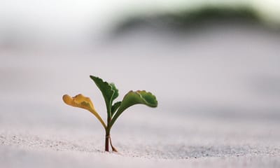 Change, transformation and evaluation