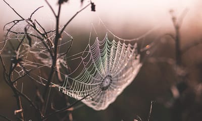 Evaluation as Practice