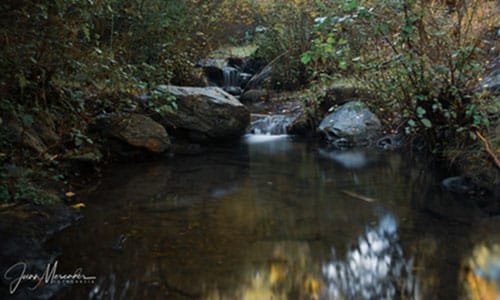 Evaluation’s Journey towards the future, Part 1: Ancient tributaries