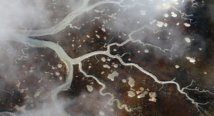 Evaluation’s Journey towards the Future, Part 2. How did we get here?