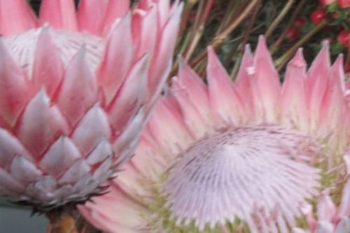 Guest Post: Narratives, Stories and Memes