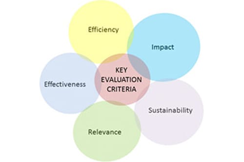 The DAC criteria, Part 1. The positives