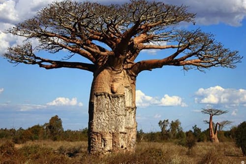 Made in Africa Evaluation 2. Africa-rooted evaluation