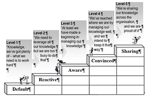 Evaluation Maturity Models