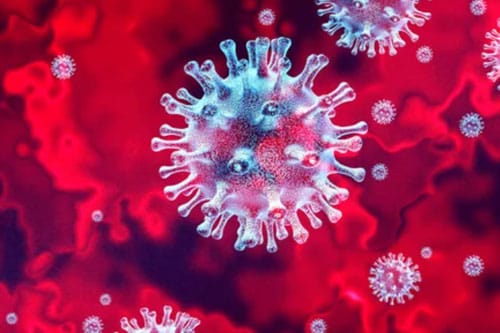 COVID-19, Part 3. Adapting