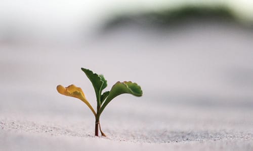 Change, Transformation and Evaluation