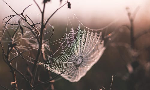 Evaluation as Practice