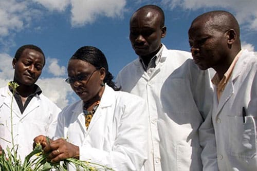 Diamonds for AWARD: Evaluation and the quest for African Women Science Leaders