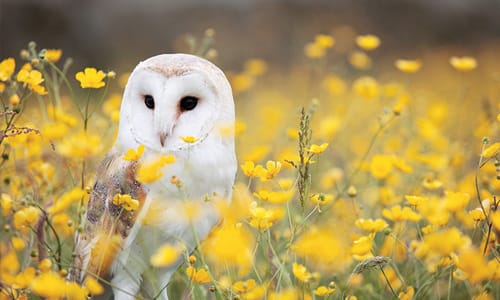 Scientific Research Evaluation